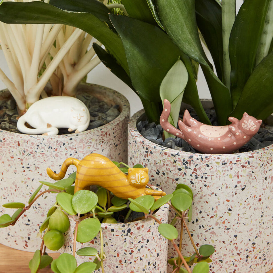 Curious Cats Plant Stick Set of 3