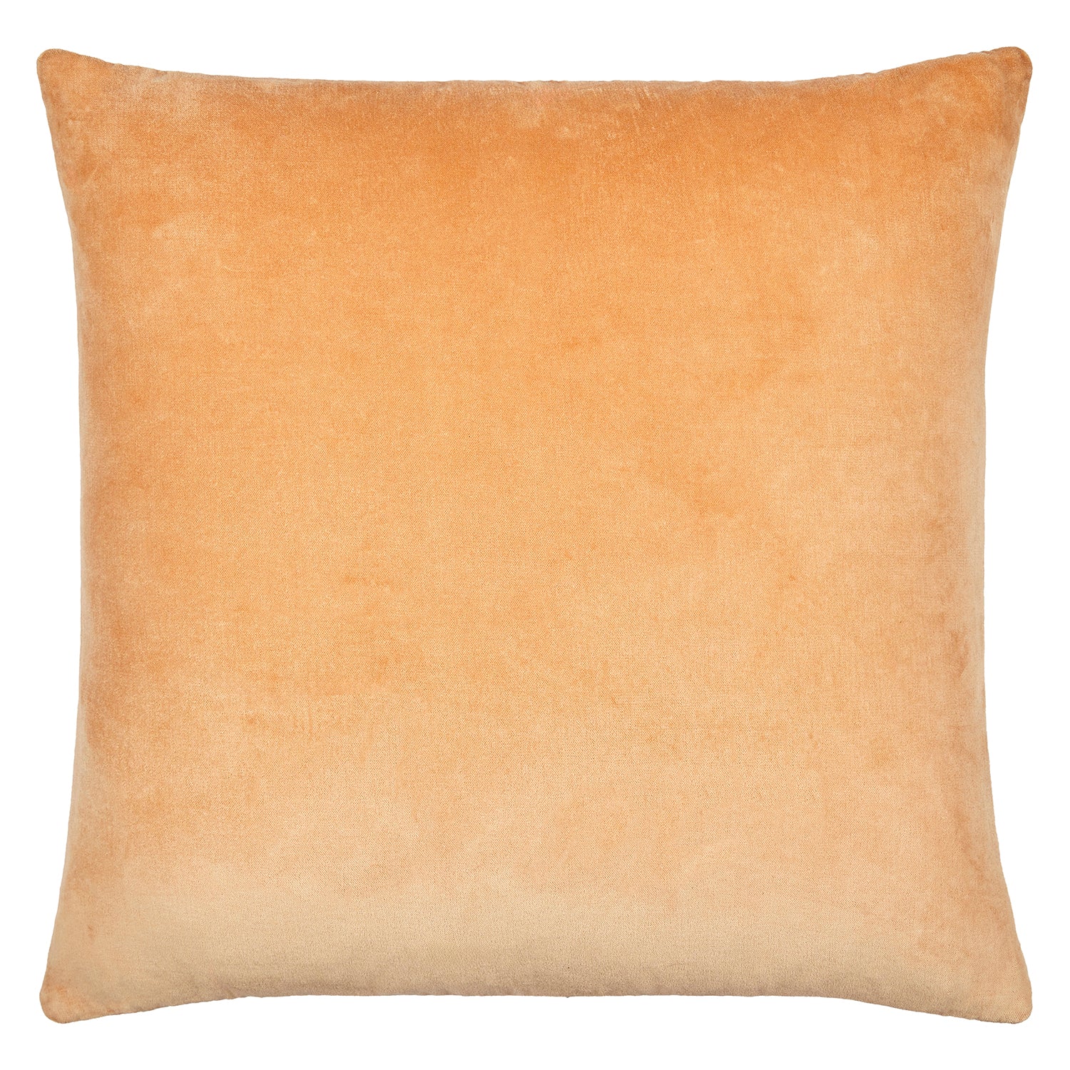 Digby Throw Pillow