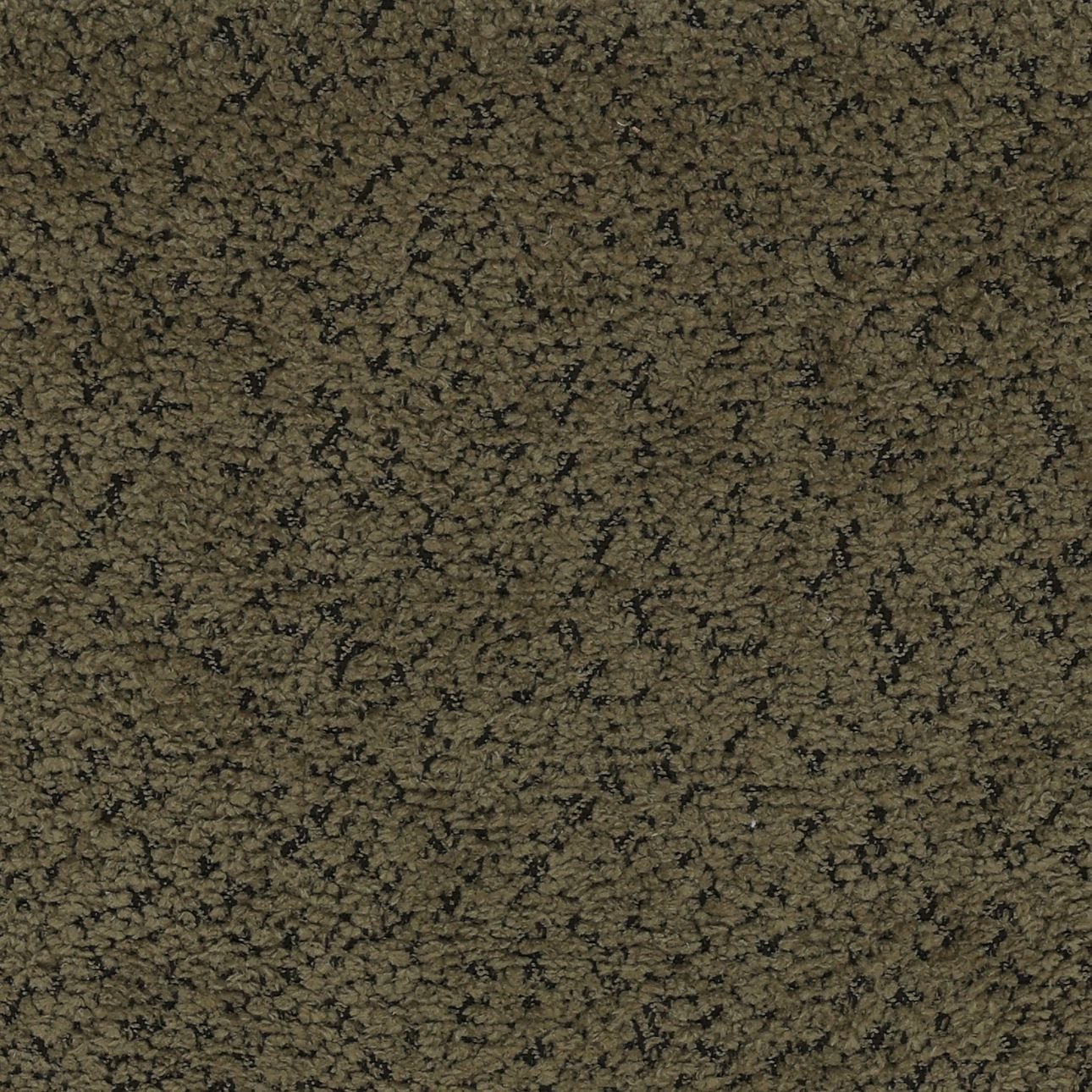 Cathey Olive Counter Stool Set of 2