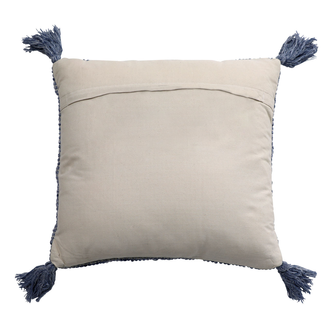 Beryl Indoor/Outdoor Throw Pillow