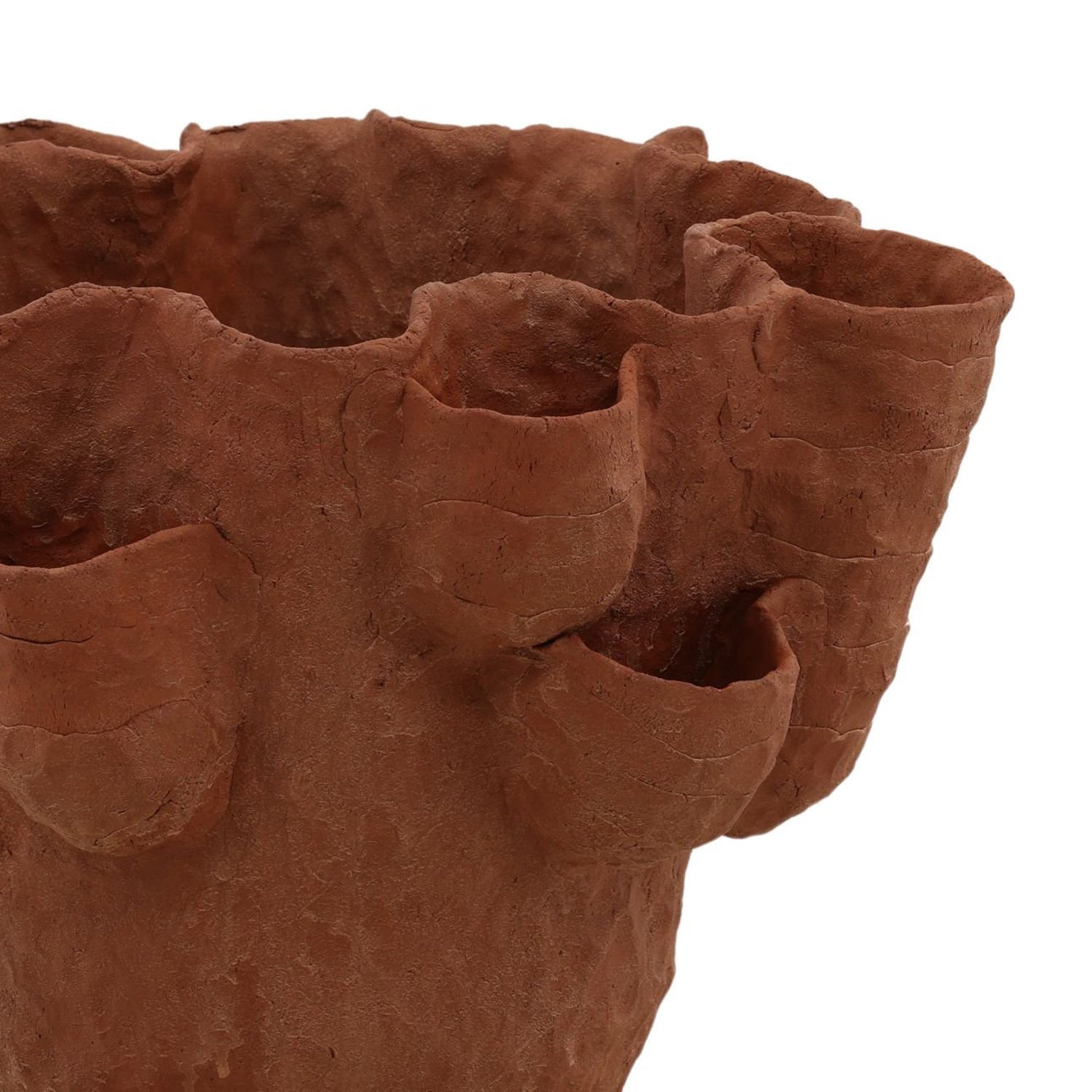 Coralia Vase