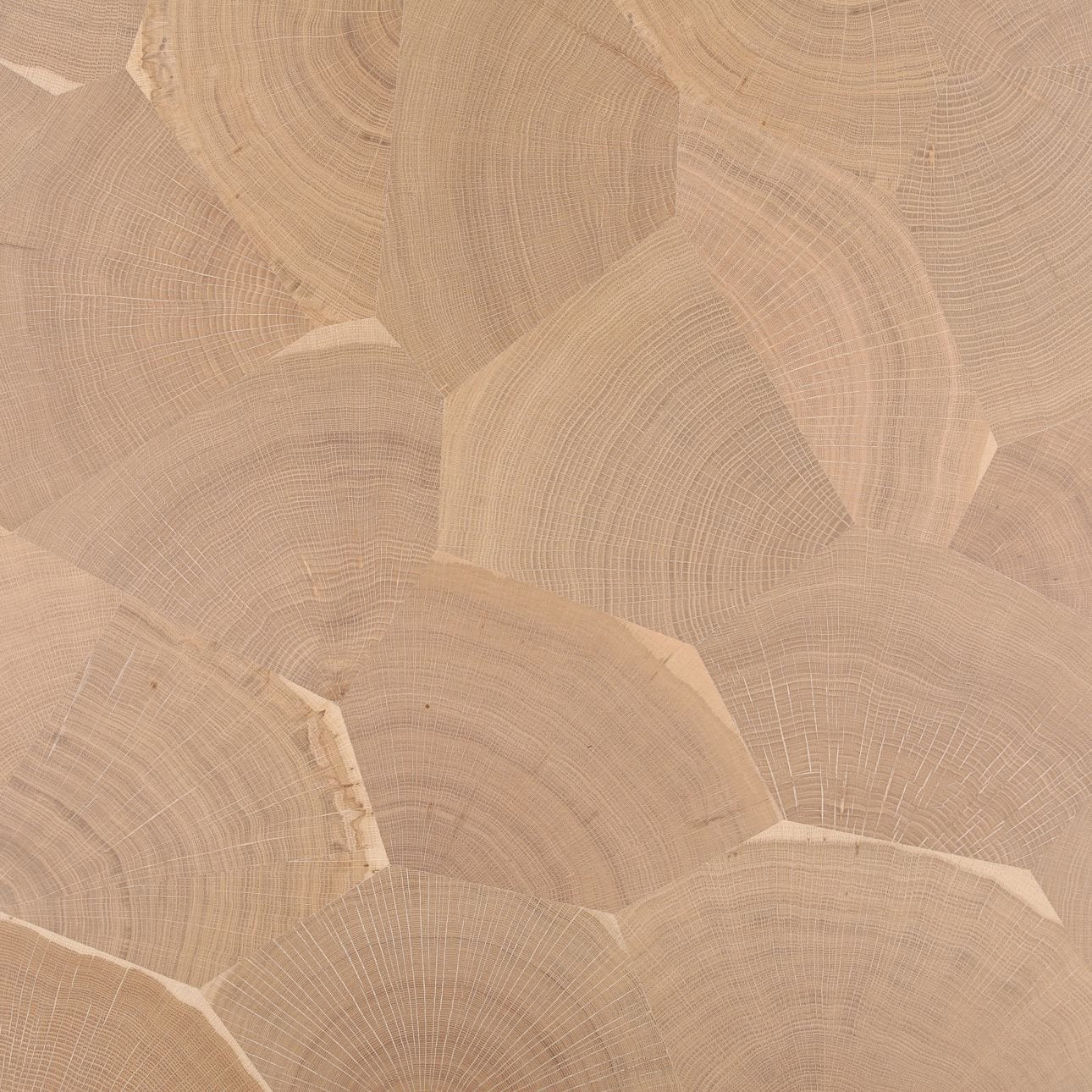 Evren Light Natural Dining Table