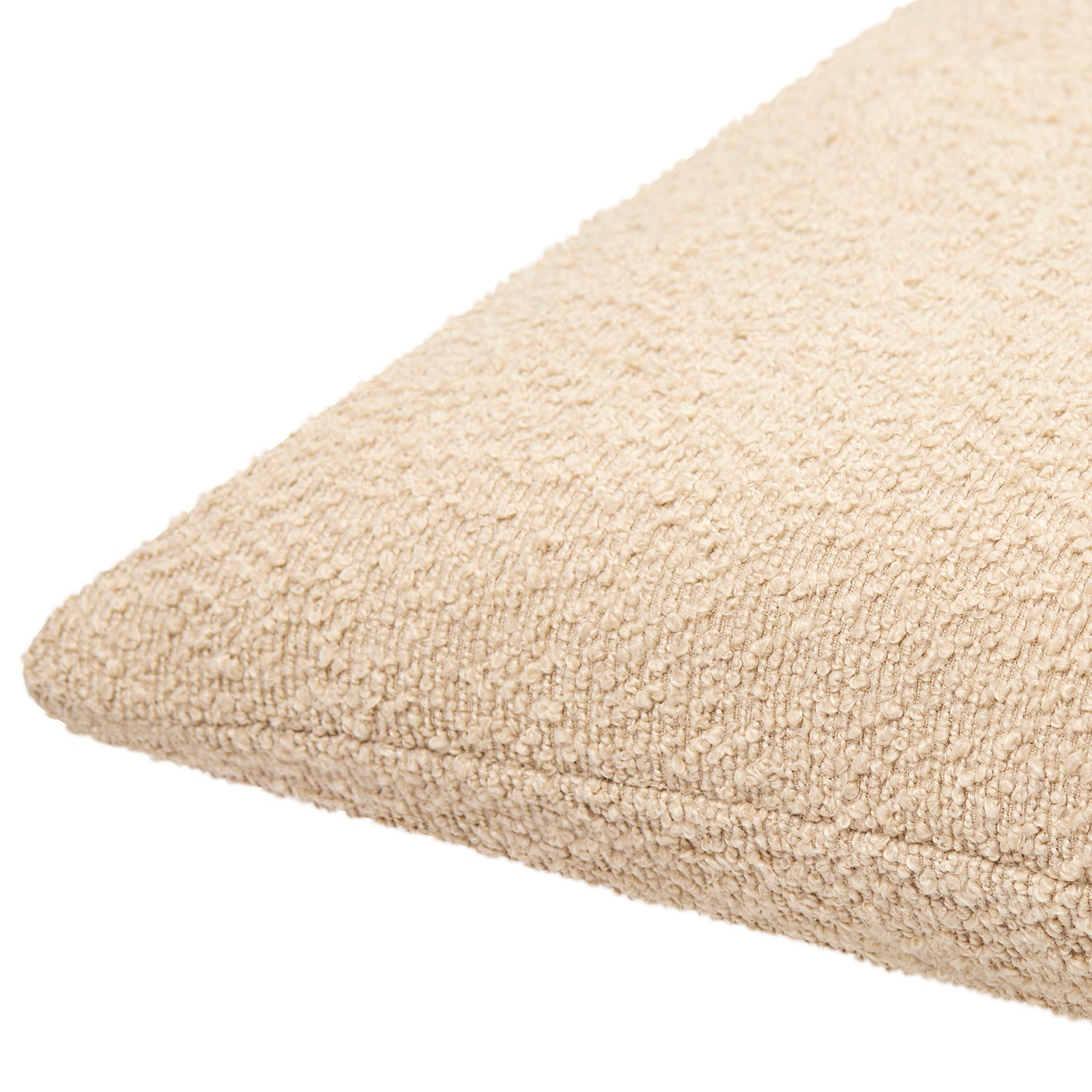 Eesha Solid Throw Pillow