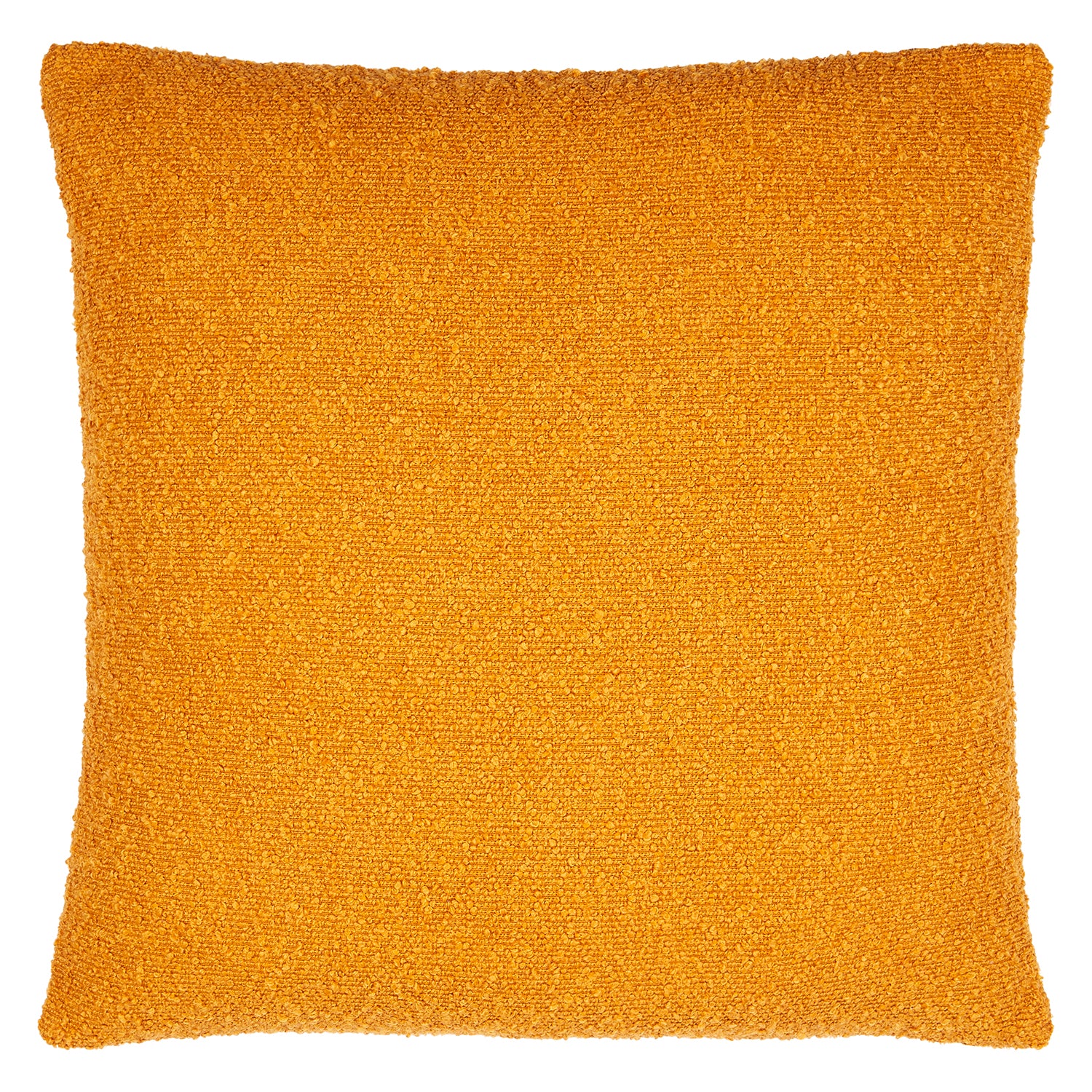 Eesha Solid Throw Pillow