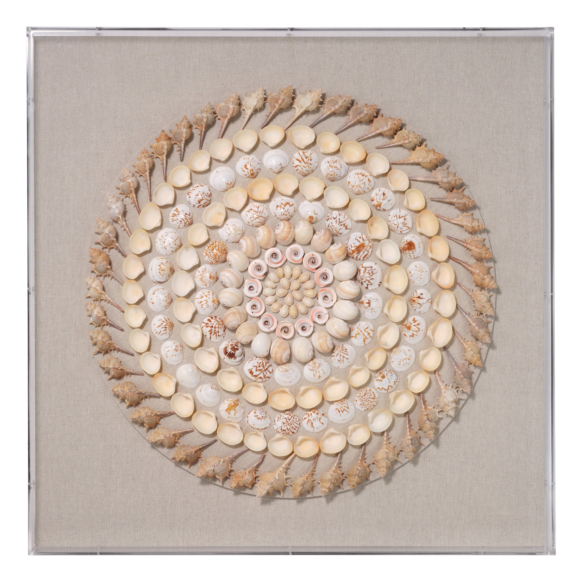 Jamie Young Outer Banks Cream and Natural Shell Wall Art