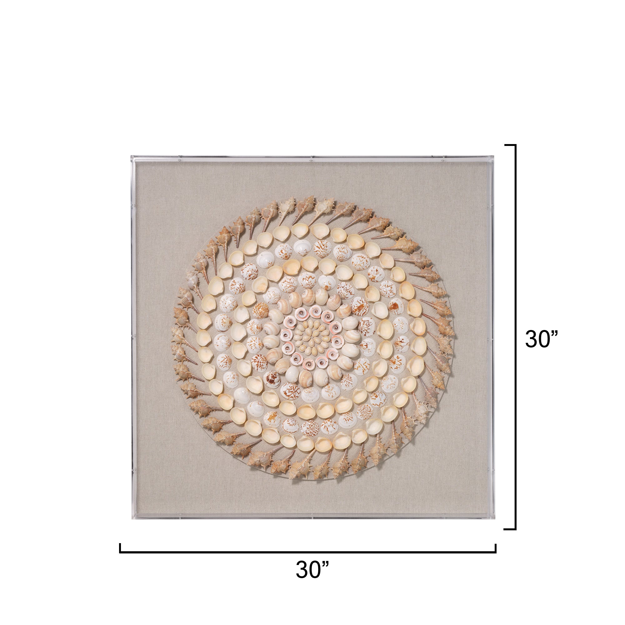 Jamie Young Outer Banks Cream and Natural Shell Wall Art