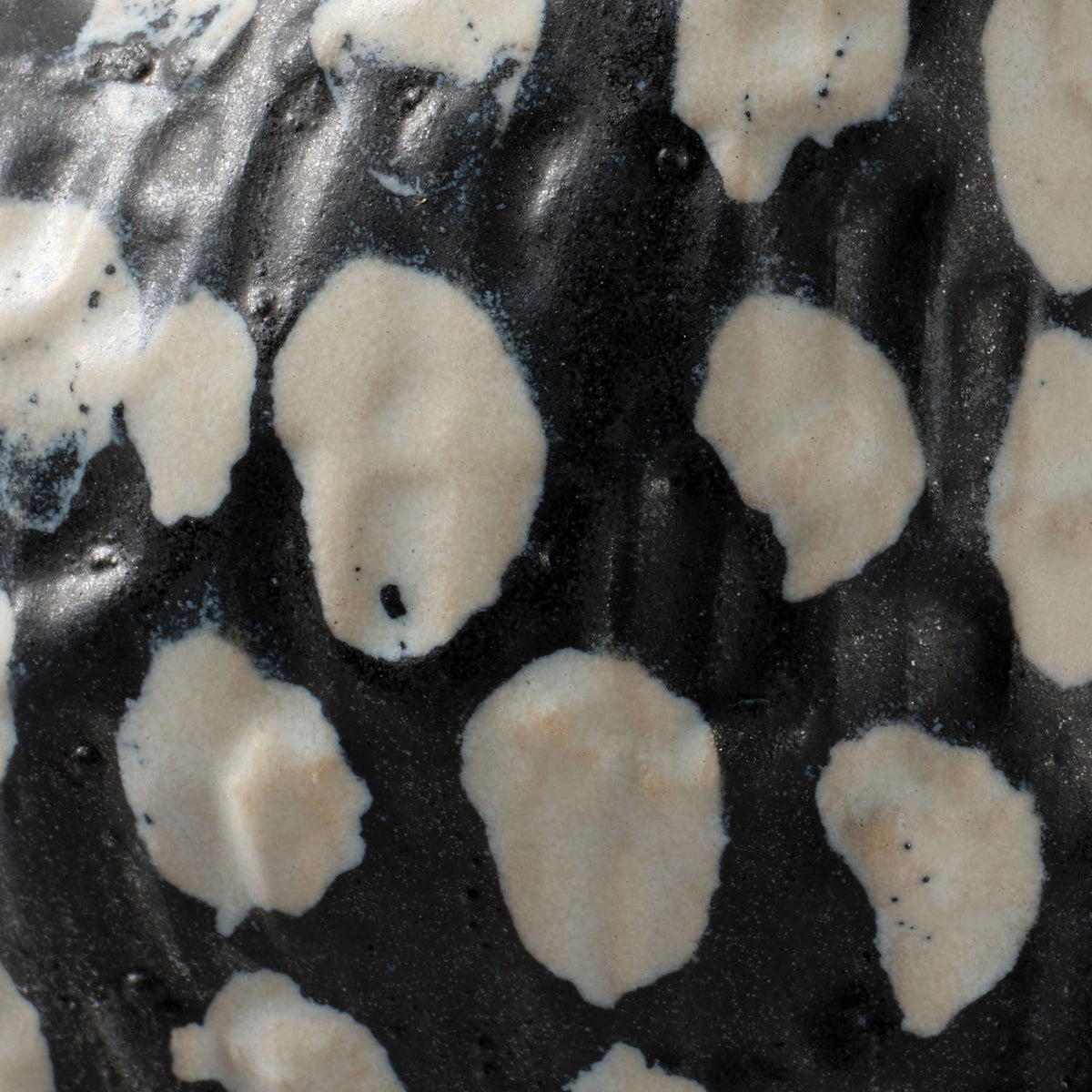 Jamie Young Pinpoint Polka Dot Black and White Ceramic Vase close-up of Black Ceramic texture