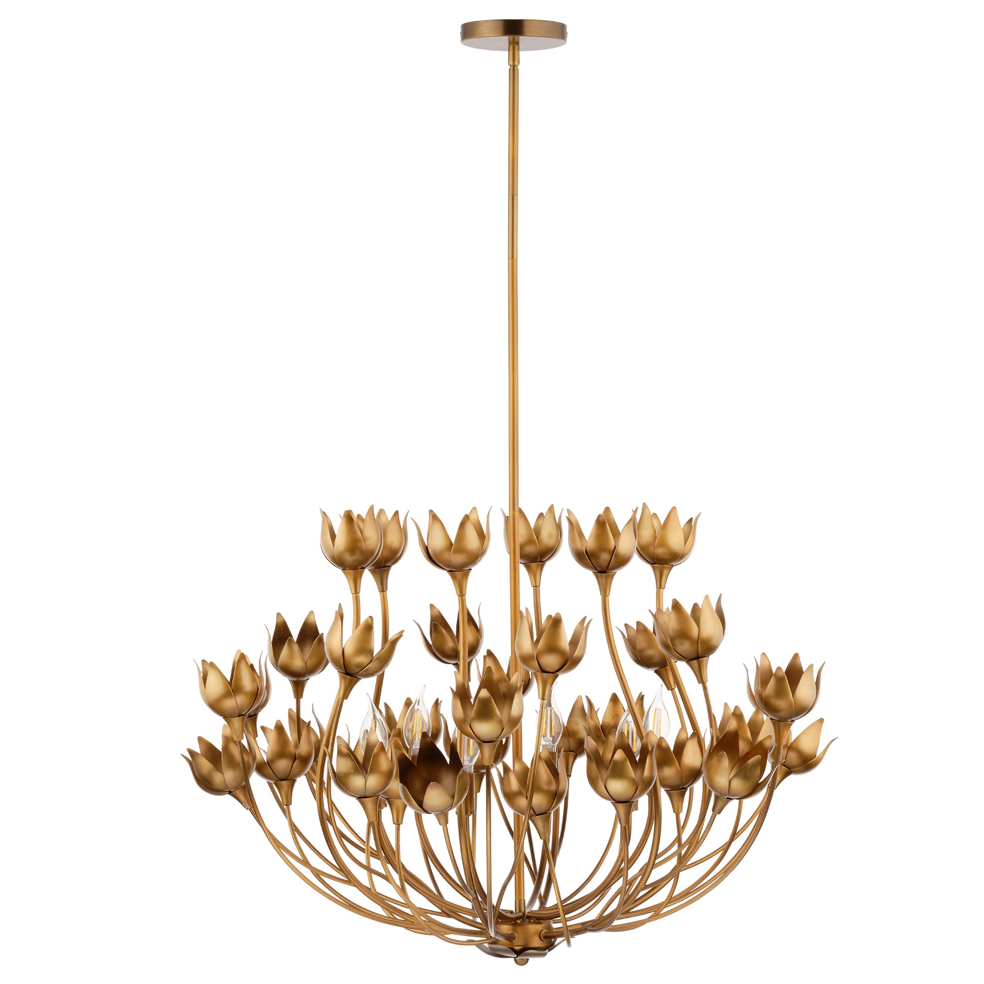Jamie Young Dogwood Antique Brass 6-Light Chandelier