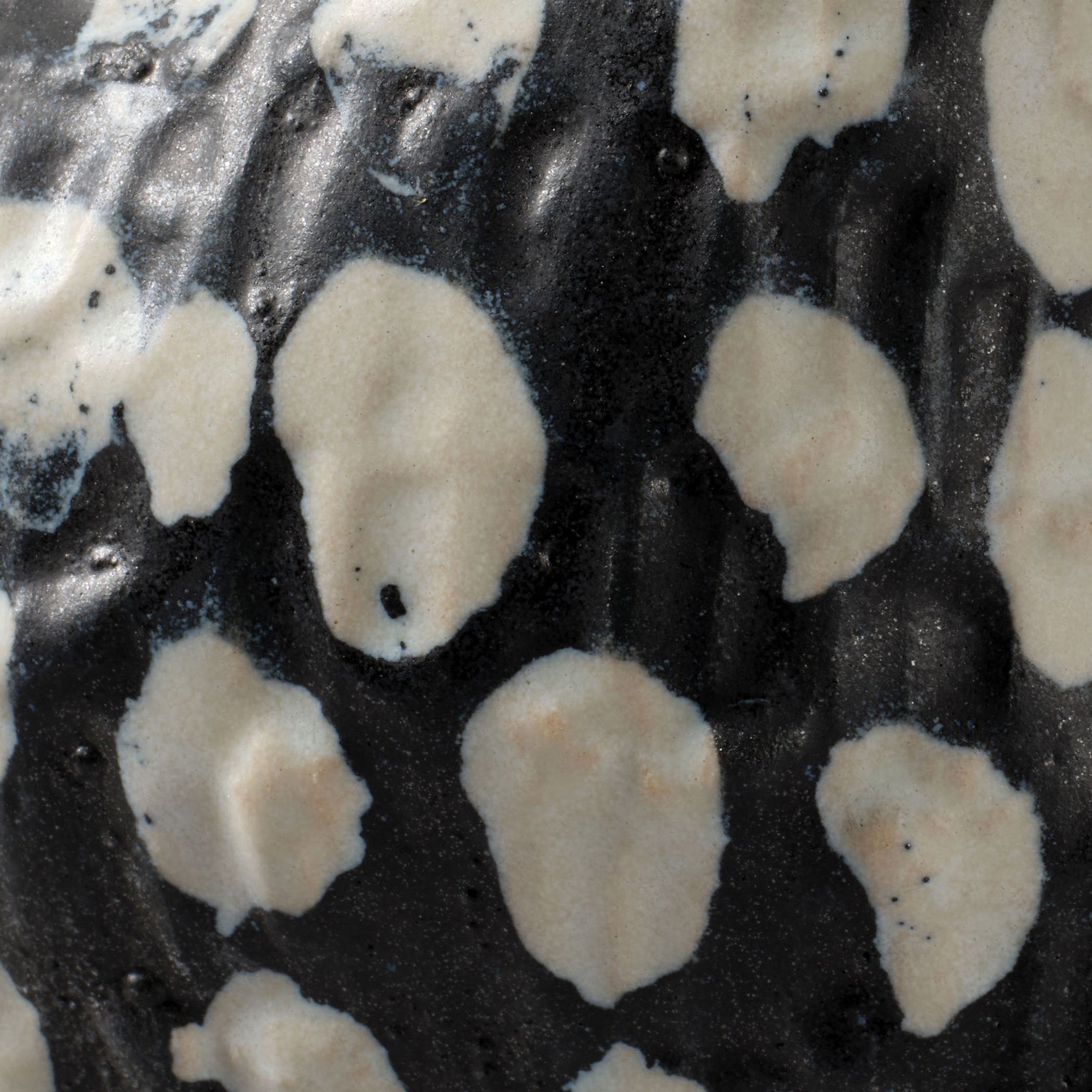 Jamie Young Pinpoint Polka Dot Black and White Ceramic Vase