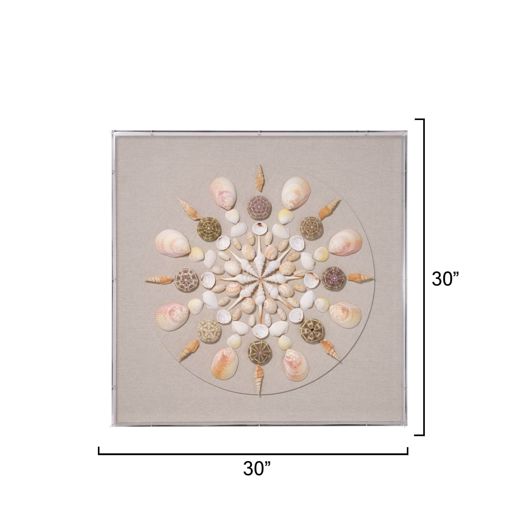 Jamie Young Miramar Pale Pink and Natural Shell Wall Art