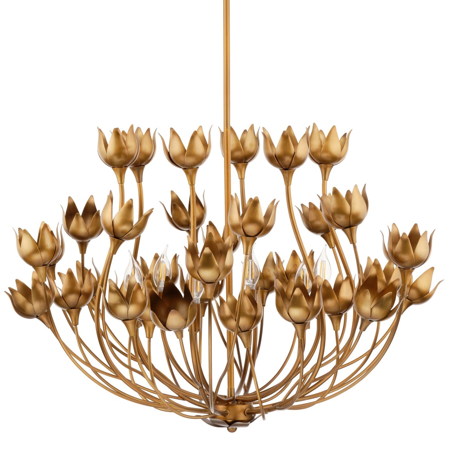 Jamie Young Dogwood Antique Brass 6-Light Chandelier