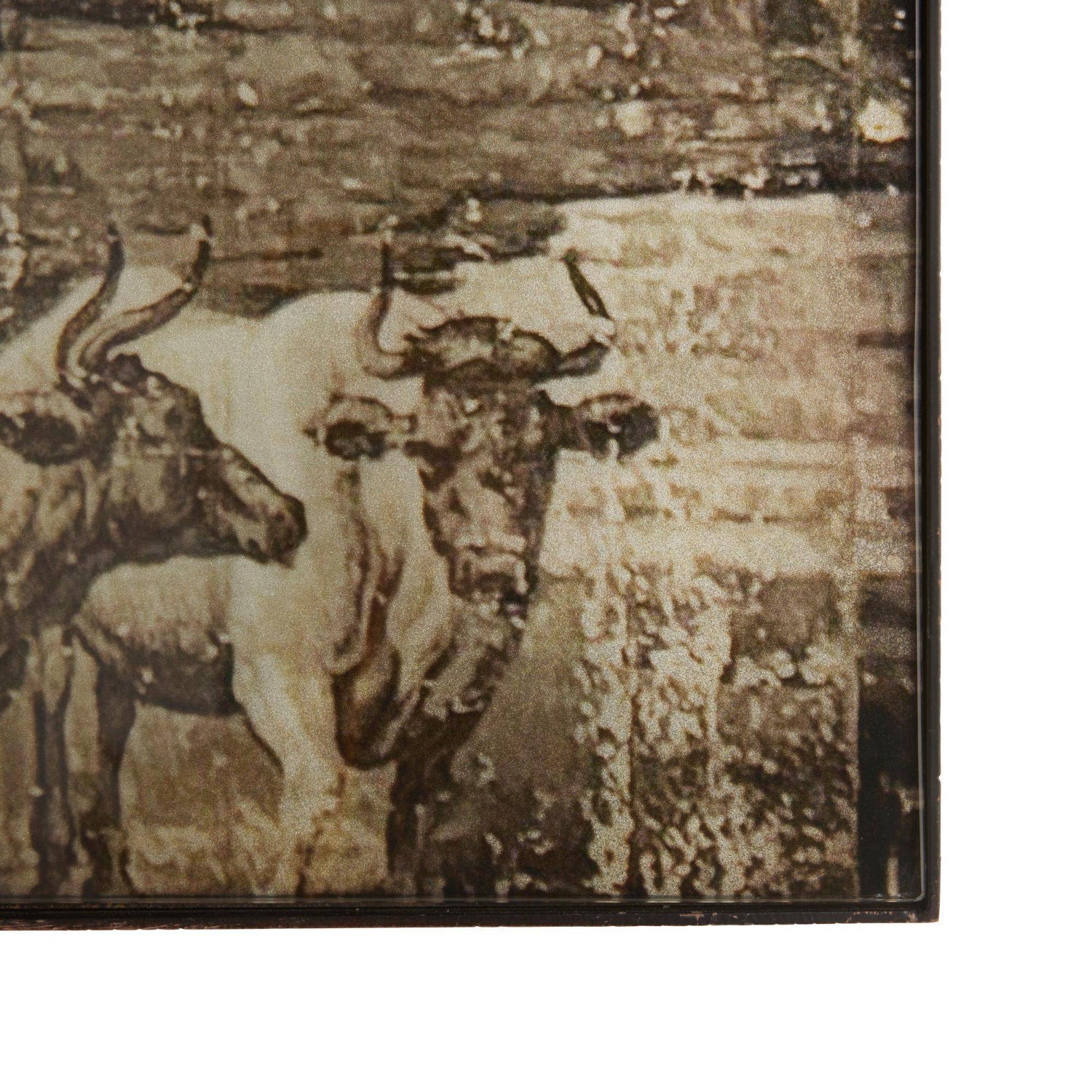 Arteriors Pastorale Wall Plaque Set of 3