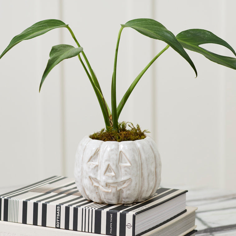 Pumpkin Glazed Pot Set of 2