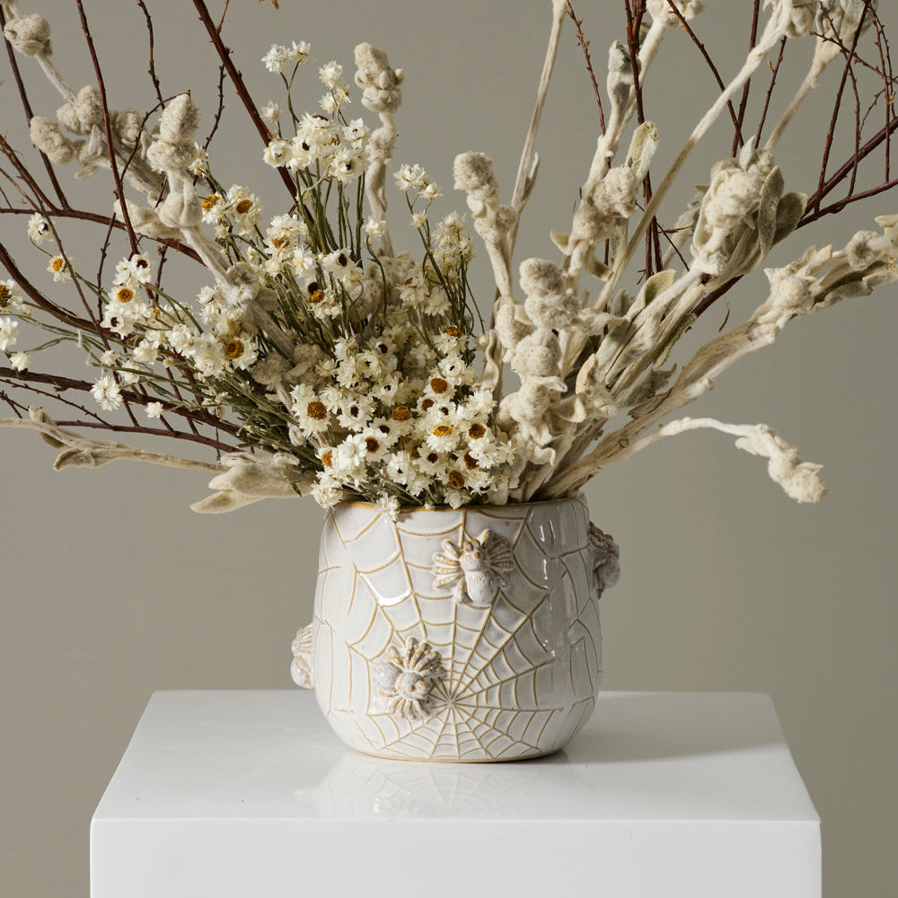 House Spider Pot
