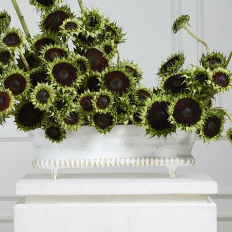 Manor Trough styled as home decor