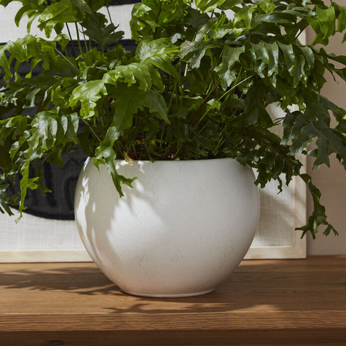Mayu Pot, white ceramic bowl planter