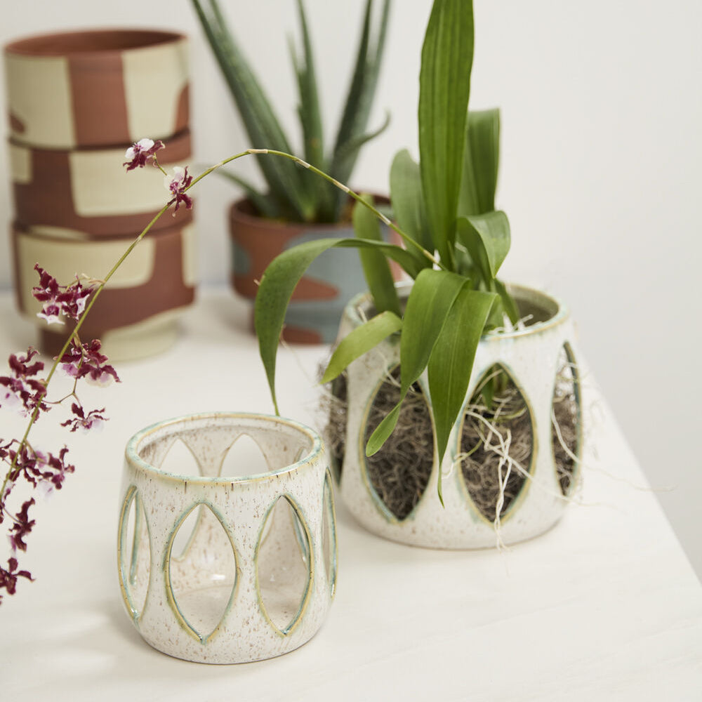 Minka Orchid Pot styled view, speckled white ceramic orchid pot