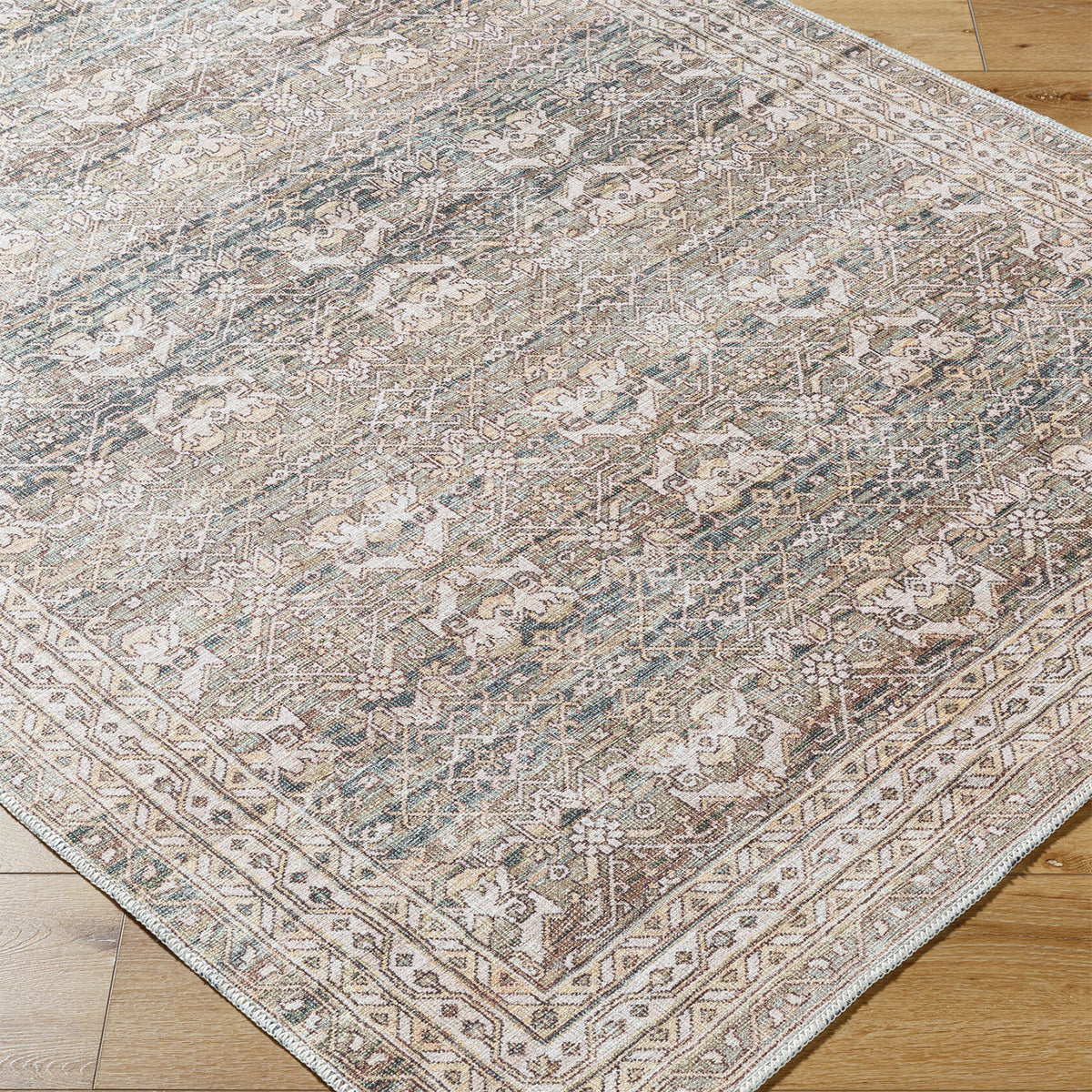 Livabliss Amelie AML-2404 Machine Woven Rug