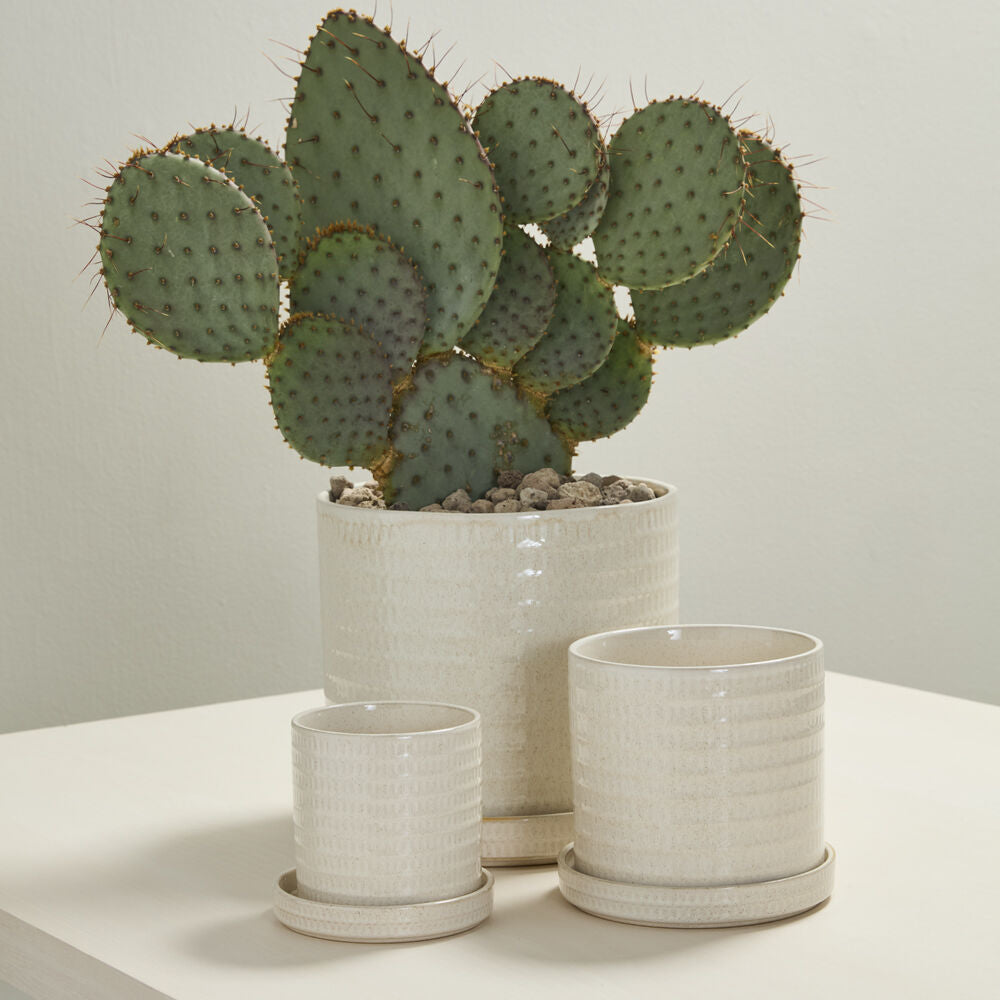 Morse Pot with Saucer styled view, warm white ceramic planter with saucer