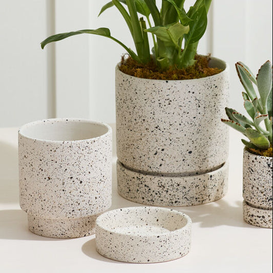 Nisha Pot, off-white ceramic planter with saucer