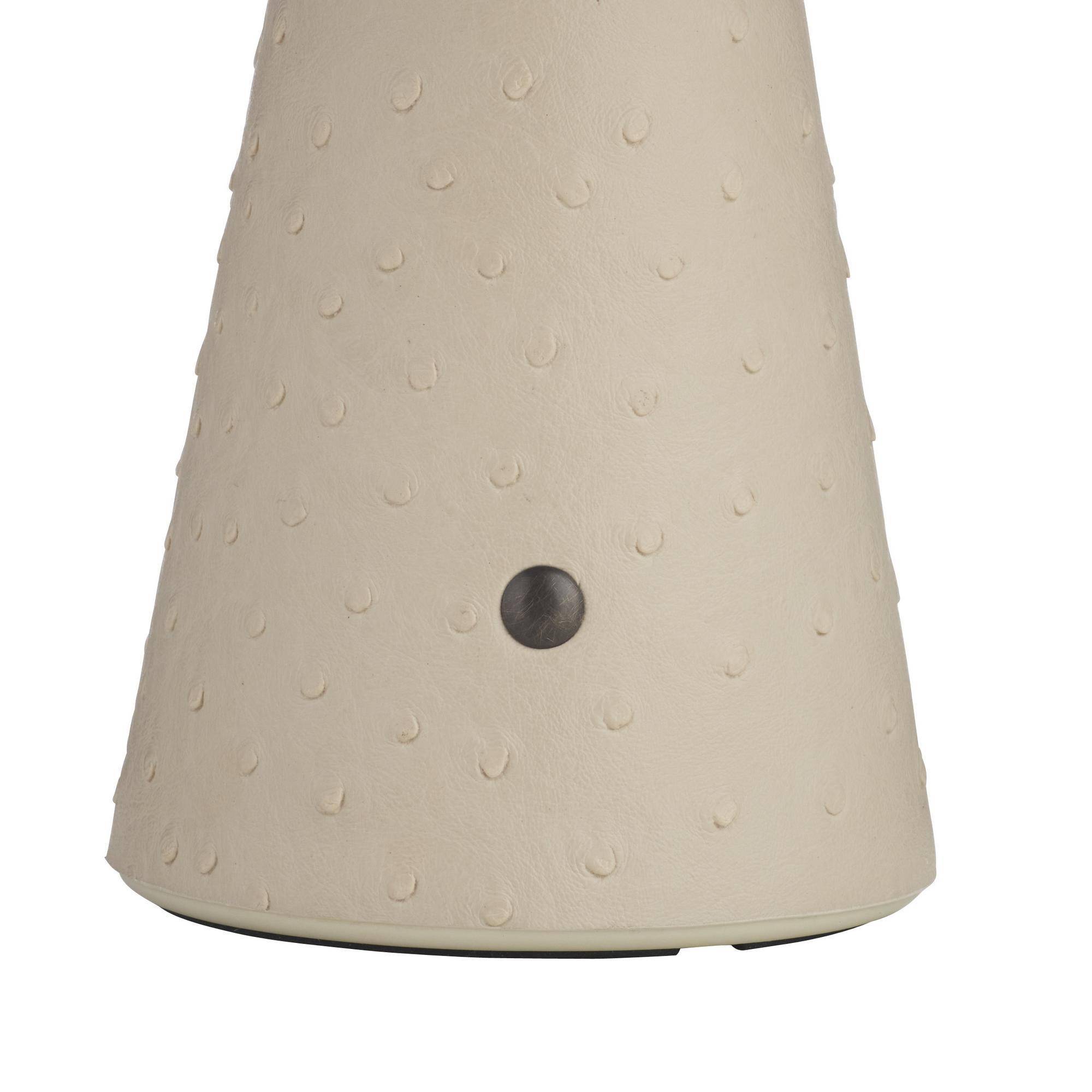 Arteriors Struzzo Rechargeable Accent Lamp