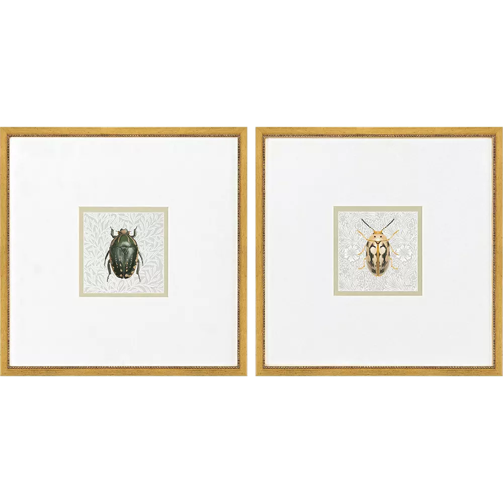 Nai Beetles Framed Artwork Set of 2