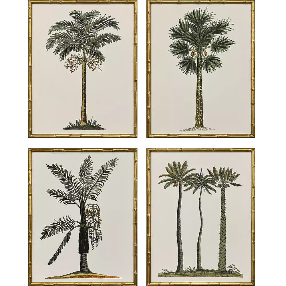 Giclee Studio Contemporary Palm II Framed Artwork Set of 4
