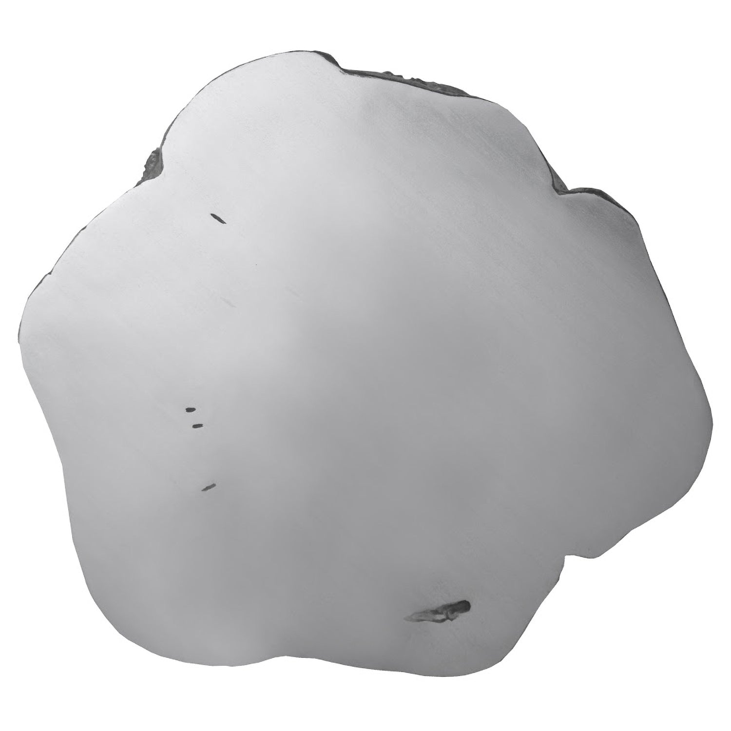 Phillips Collection Log Coffee Table