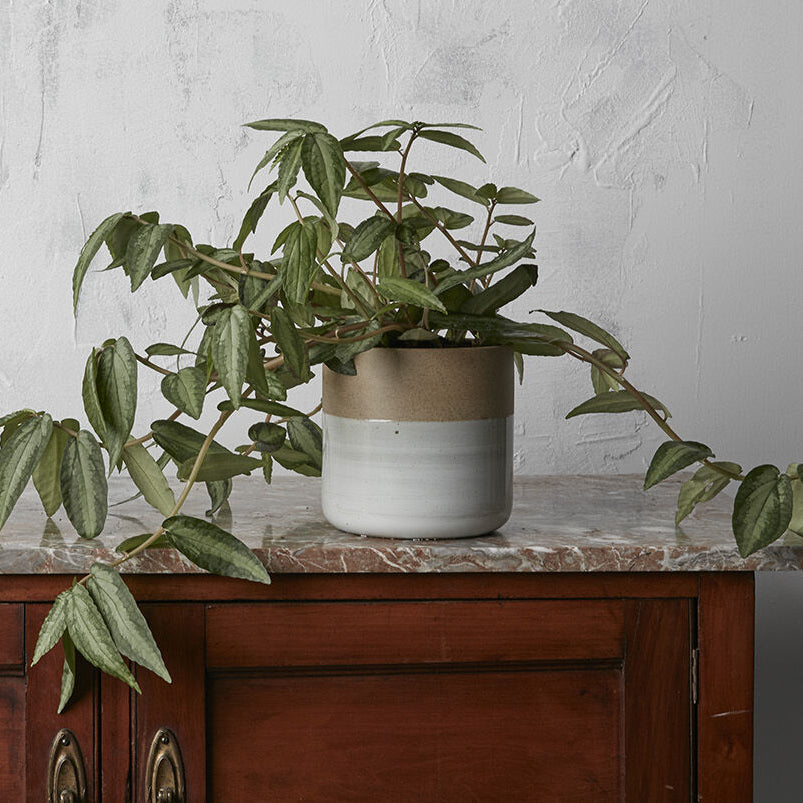 Rooney Pot decorative accent piece