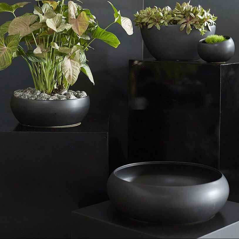 Simply Bowl decorative accent piece