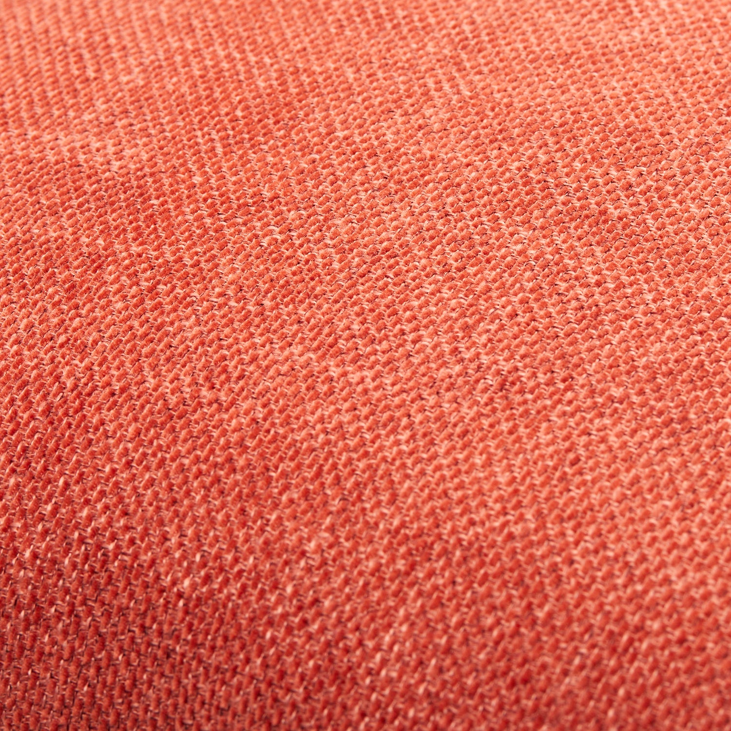 Sajani Solid Throw Pillow