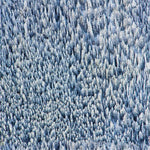 Mitchell Black x Gray Malin Snowy Pines Wallpaper