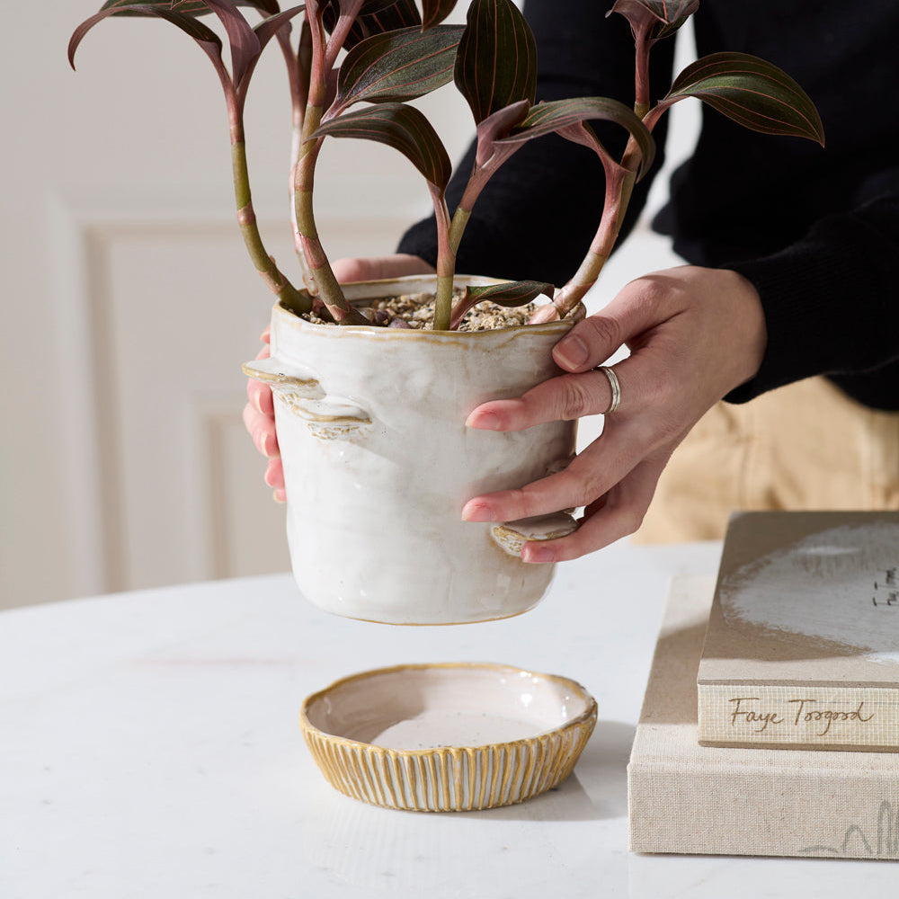 Stepped Mushroom Pot With Saucer