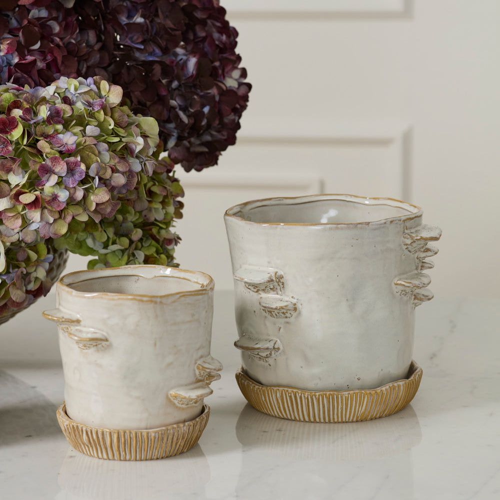 Stepped Mushroom Pot With Saucer