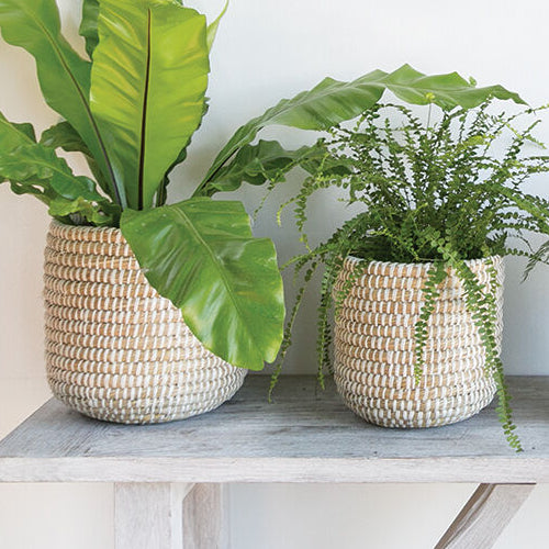 Tejida Basket shown as a styled home décor accent