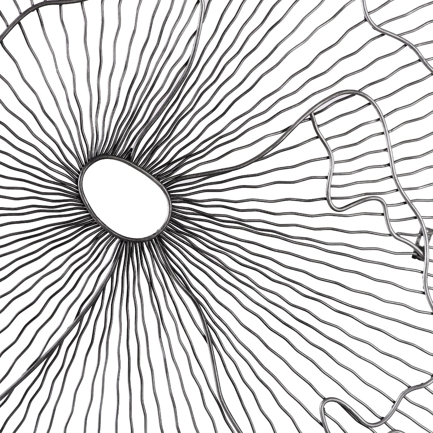 Phillips Collection Poppy Flower Wall Art