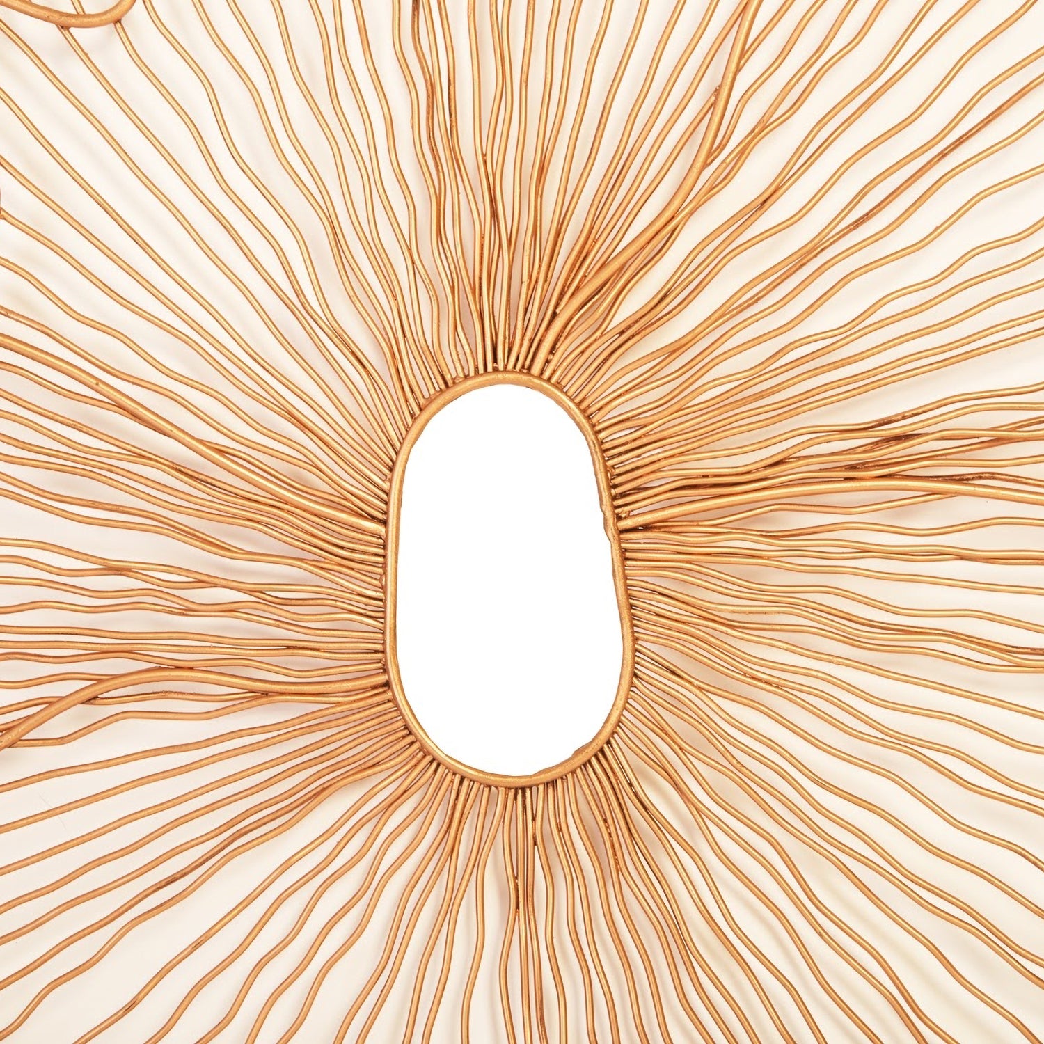 Phillips Collection Poppy Flower Wall Art