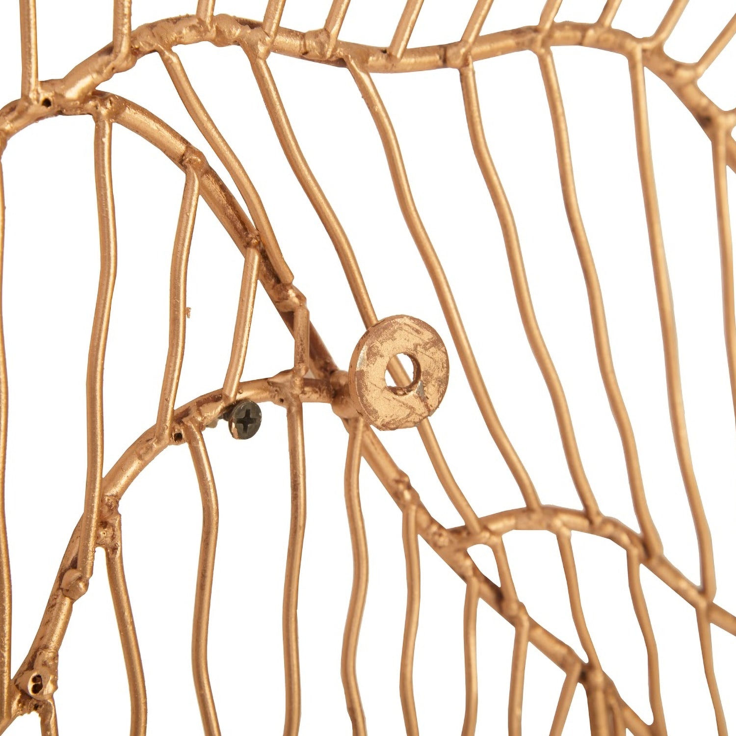 Phillips Collection Poppy Flower Wall Art