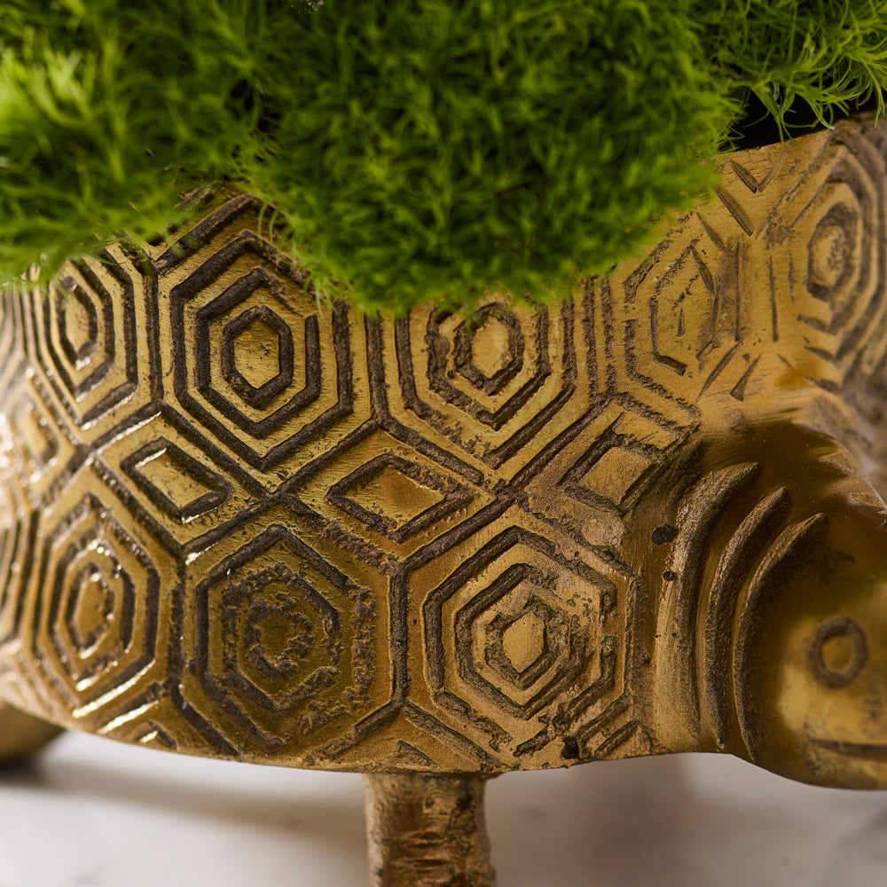 Tommie Turtle Pot styled on a home surface