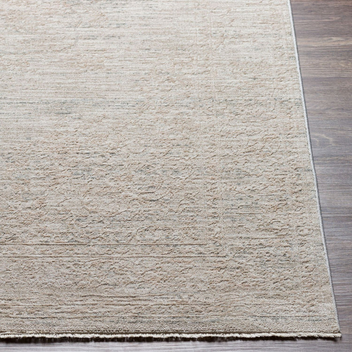 Livabliss Laila LAA-2301 Machine Woven Rug