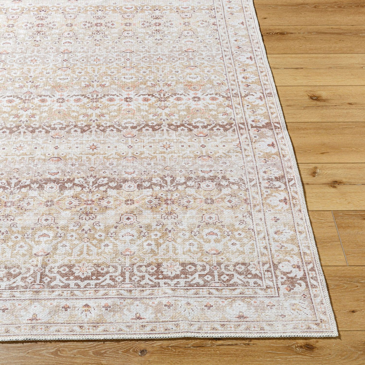 Livabliss Amelie AML-2401 Machine Woven Rug