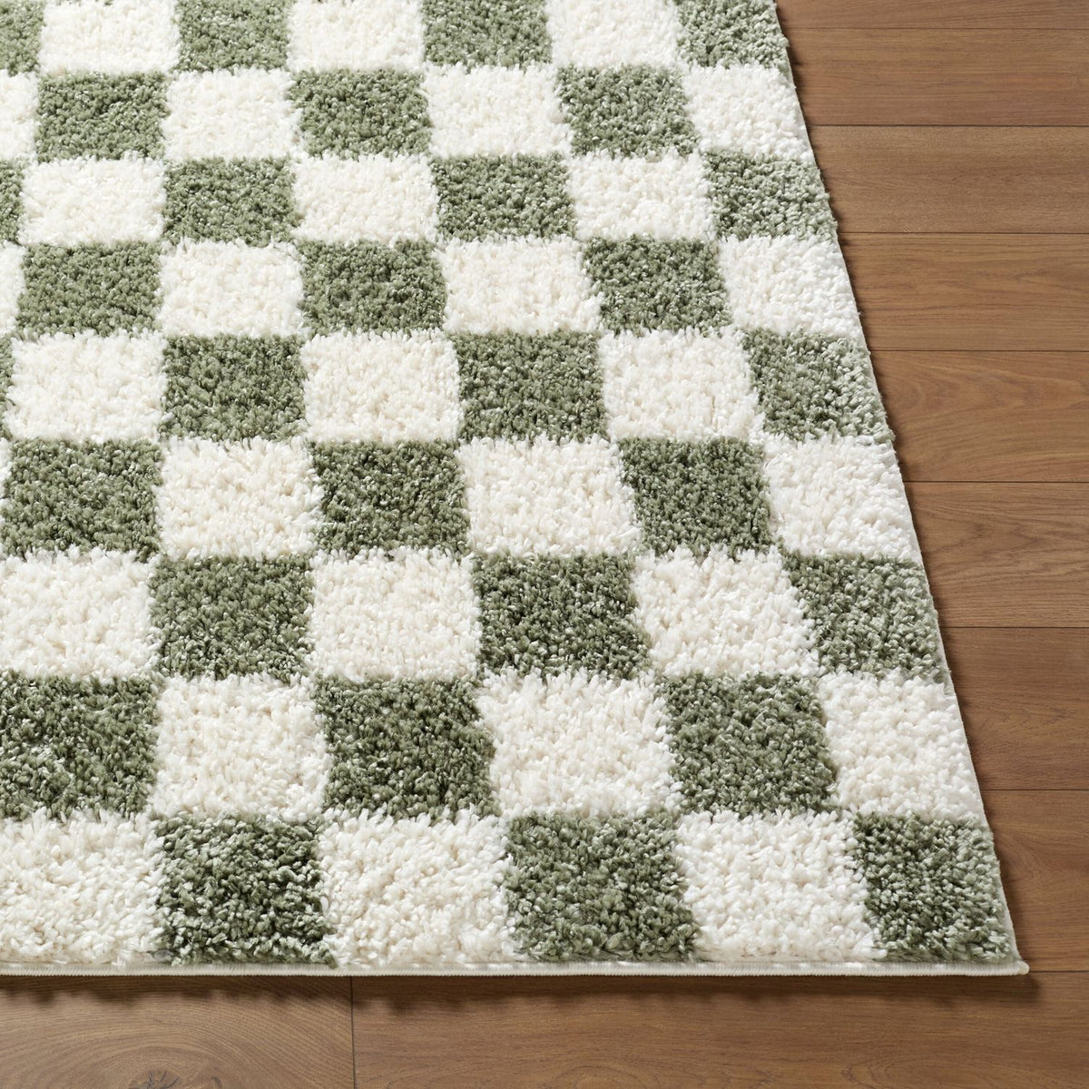 Livabliss Czechia CZE-2305 Machine Woven Rug