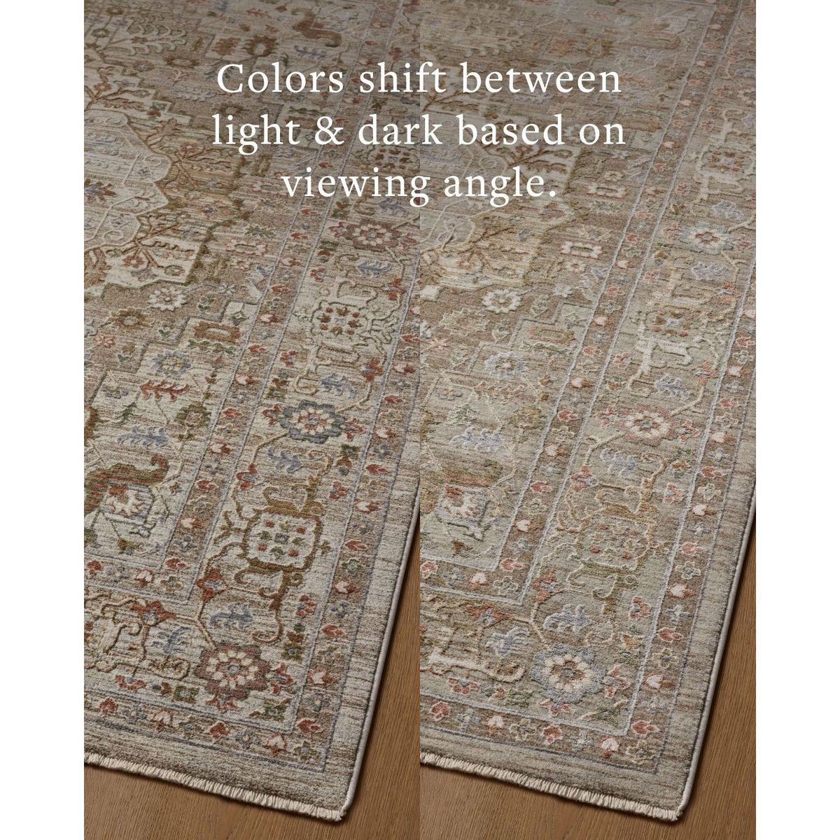 Loloi Aylin Mushroom/Fiesta Power Loomed Rug