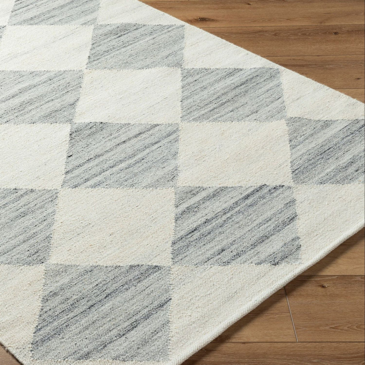 Livabliss Antho VVAT-2303 Hand Woven Rug