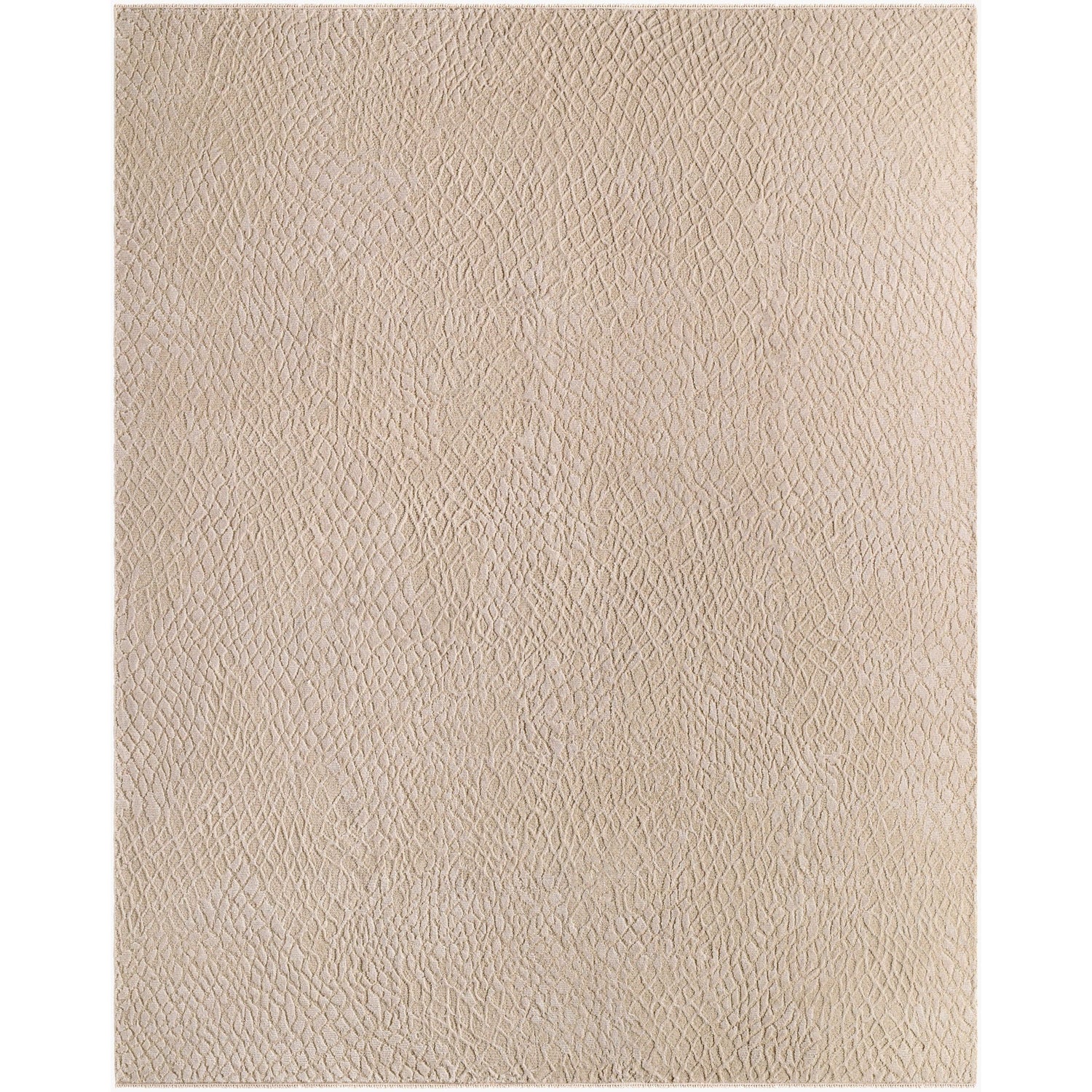 Surya Reyyan RHE-2302 Hand Knotted Rug shown flat displaying its beige hand knotted design