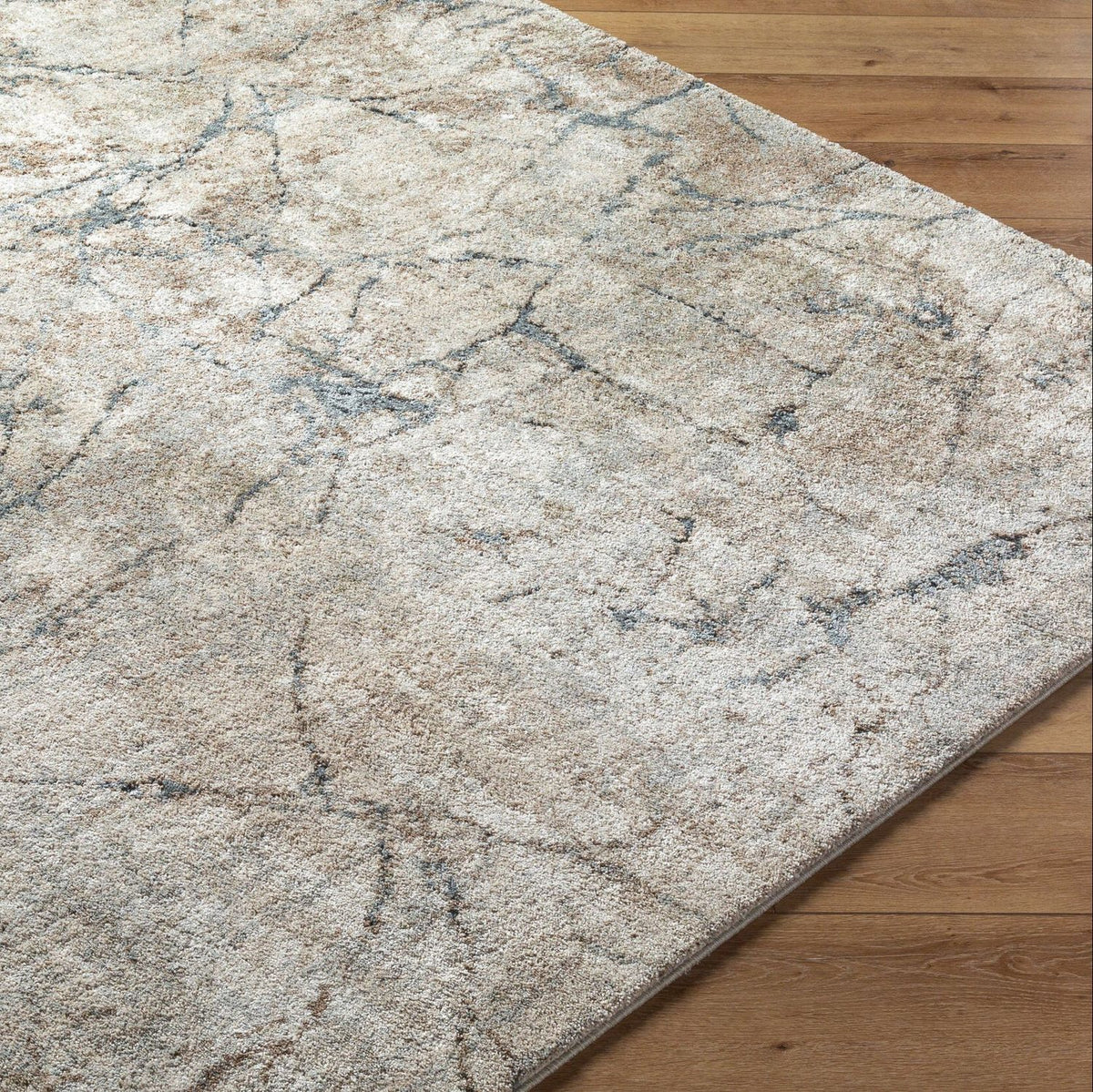 Livabliss Avellino AVL-2339 Machine Woven Rug
