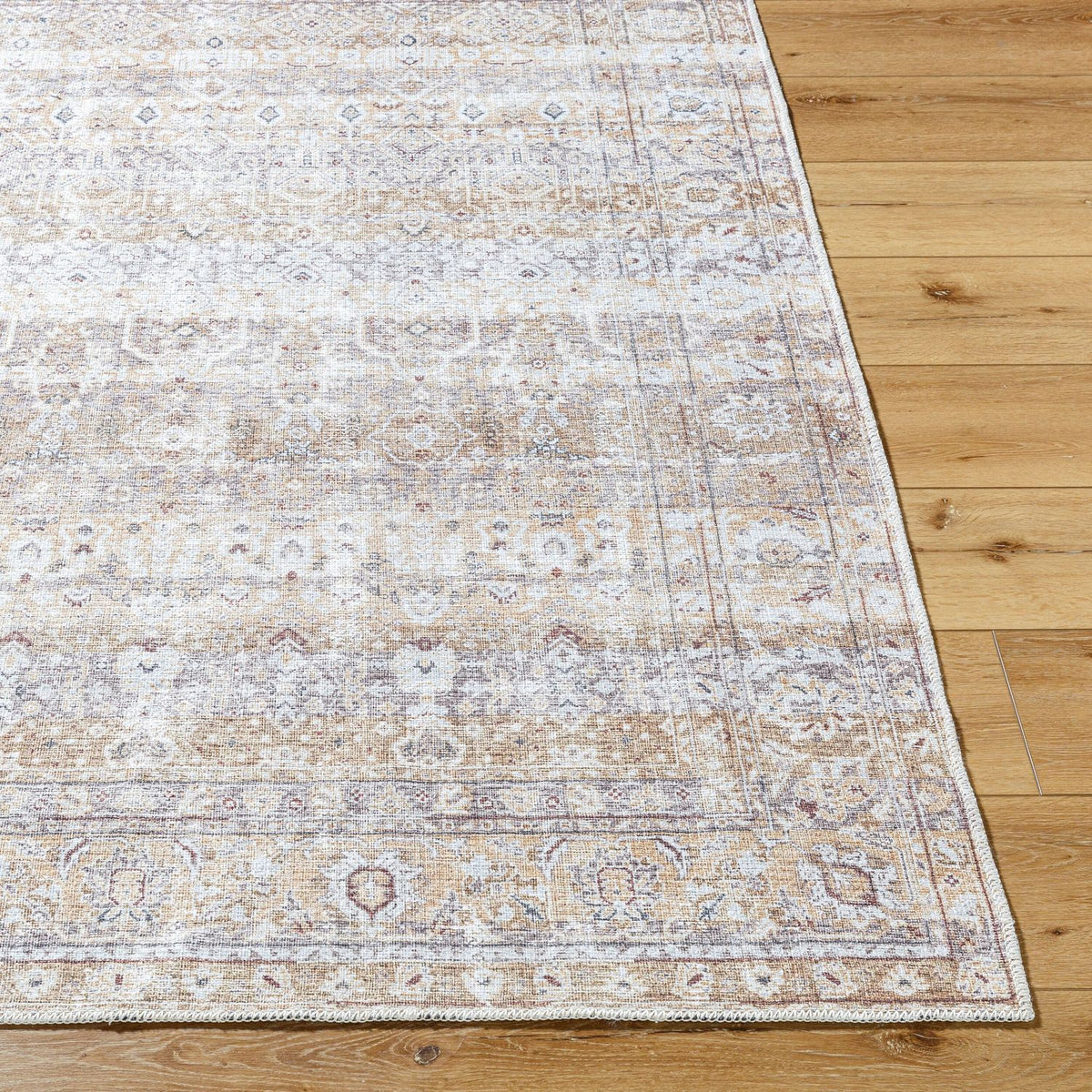 Livabliss Amelie AML-2400 Machine Woven Rug