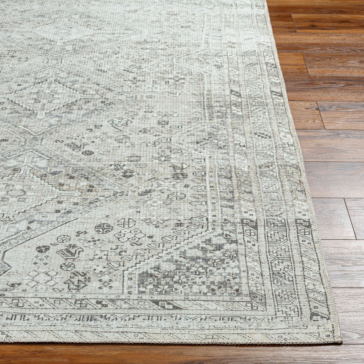 Livabliss Amelie AML-2379 Machine Woven Rug
