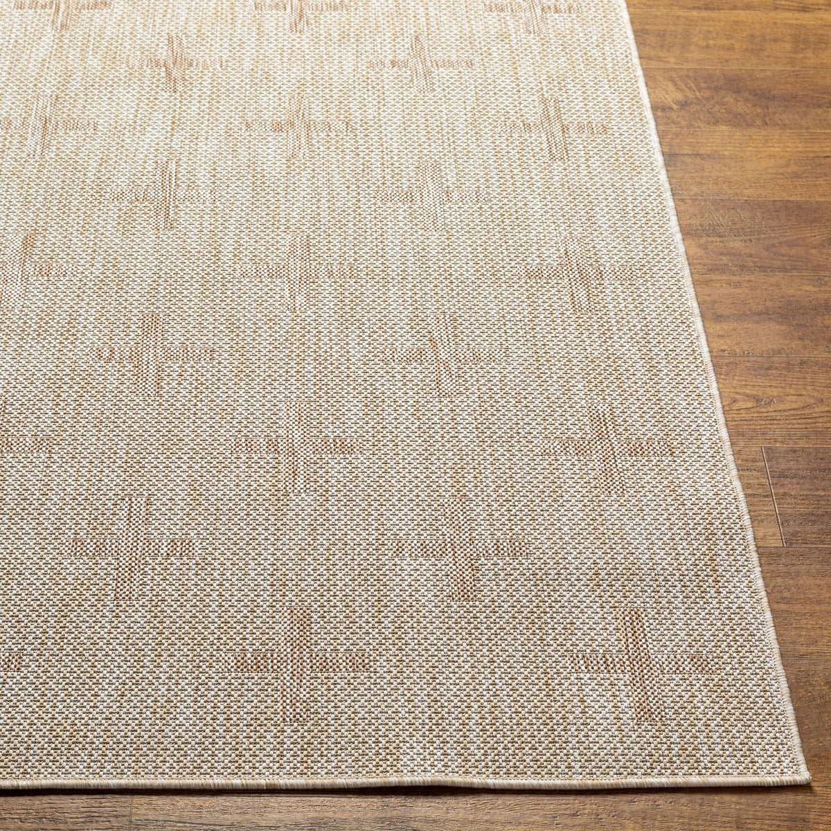 Livabliss Tuareg TRG-2357 Machine Woven Indoor/Outdoor Rug