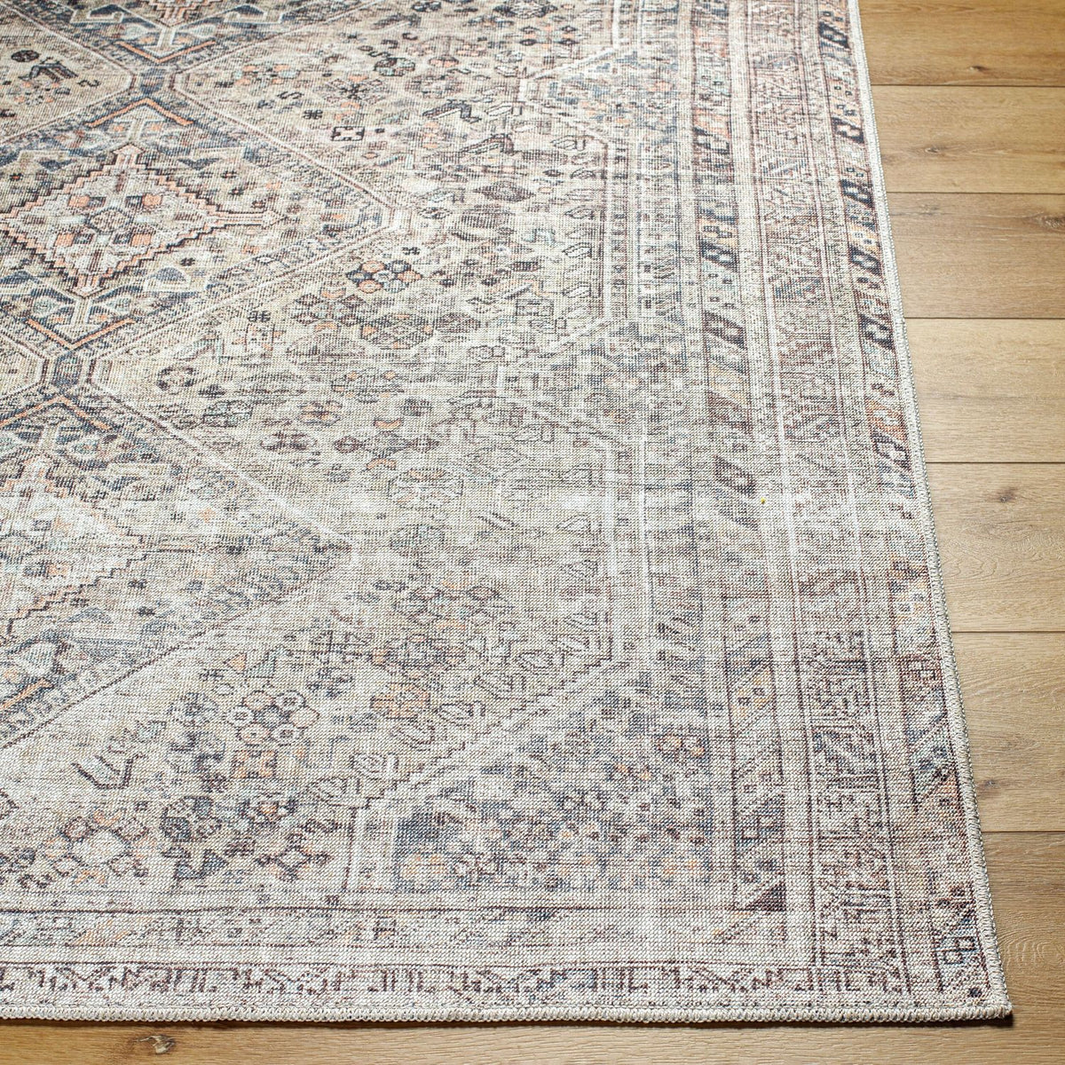 Livabliss Eleni VVEL-2301 Machine Woven Rug